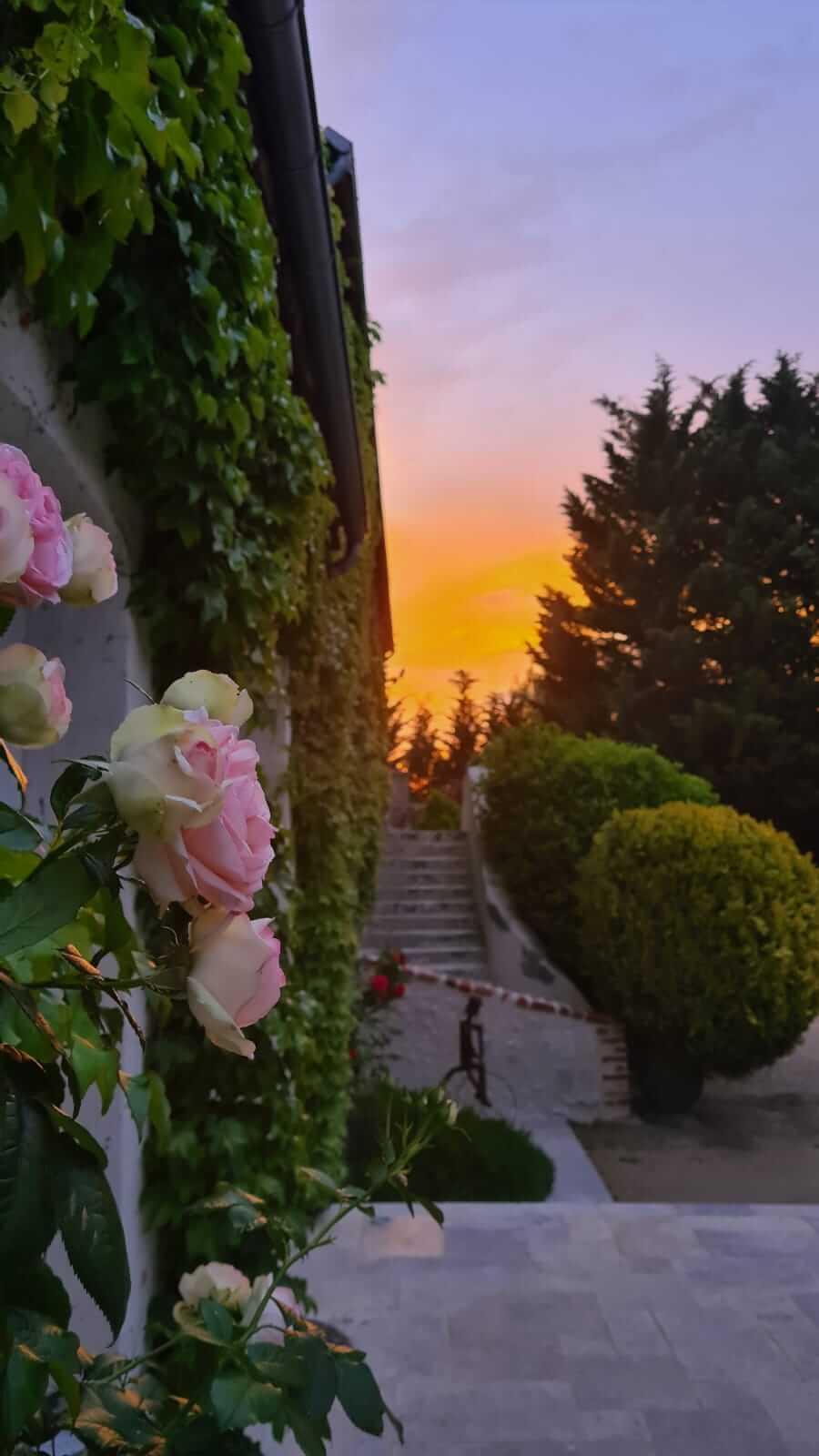 مبيت وإفطار Feings  Domaine De La Blonnerie المظهر الخارجي الصورة