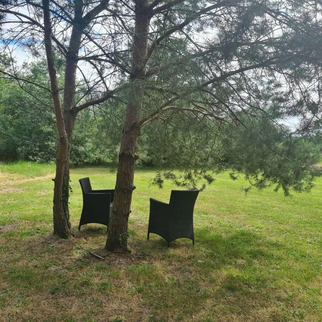 مبيت وإفطار Feings  Domaine De La Blonnerie المظهر الخارجي الصورة