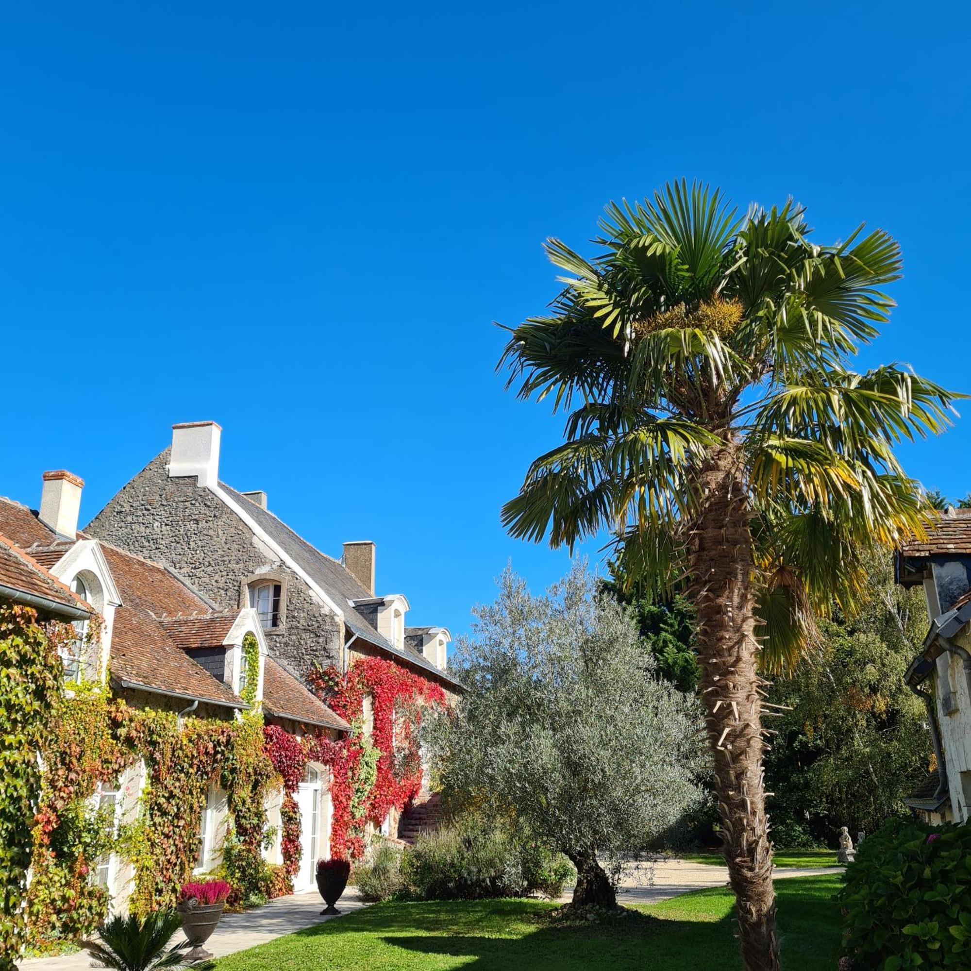 مبيت وإفطار Feings  Domaine De La Blonnerie المظهر الخارجي الصورة