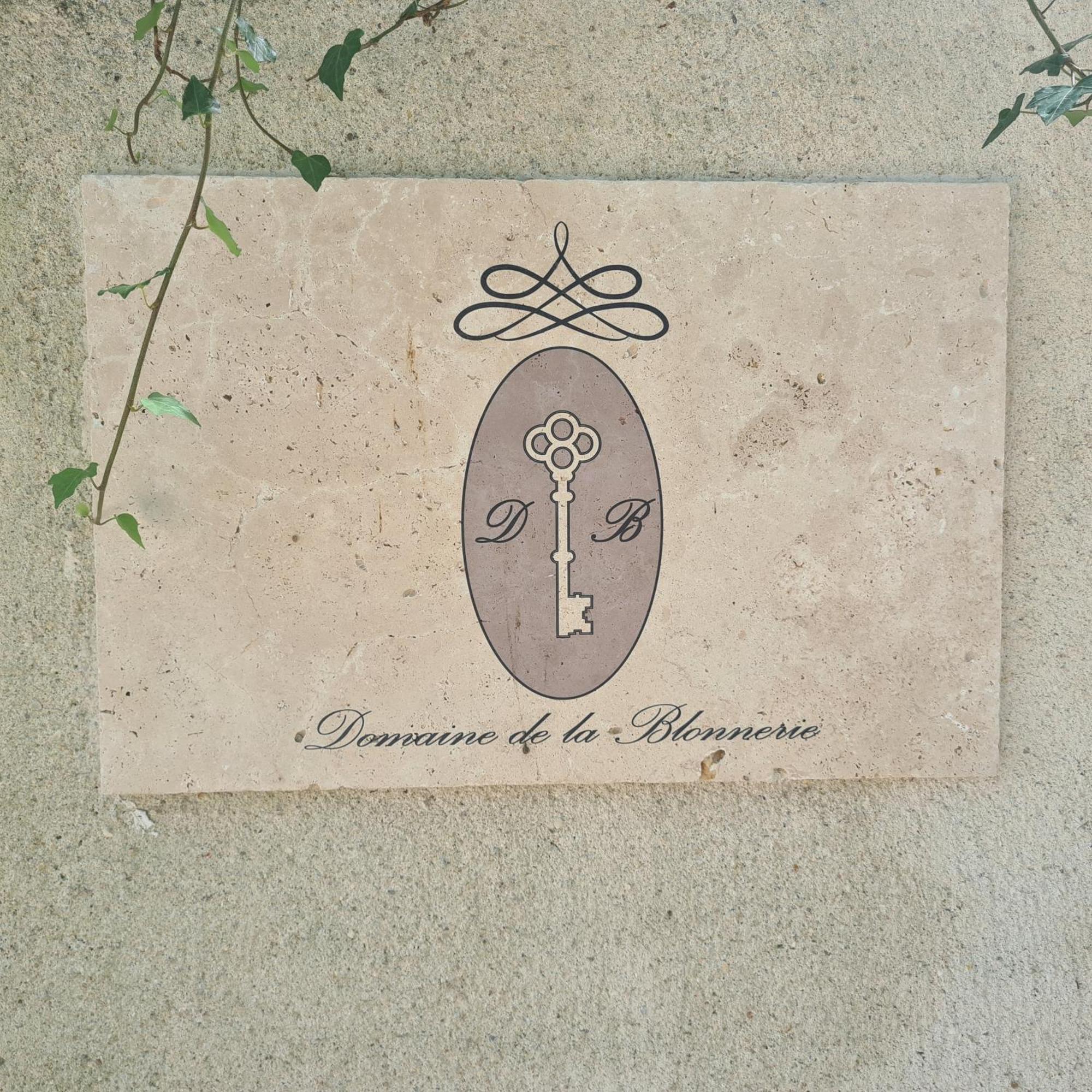 مبيت وإفطار Feings  Domaine De La Blonnerie المظهر الخارجي الصورة
