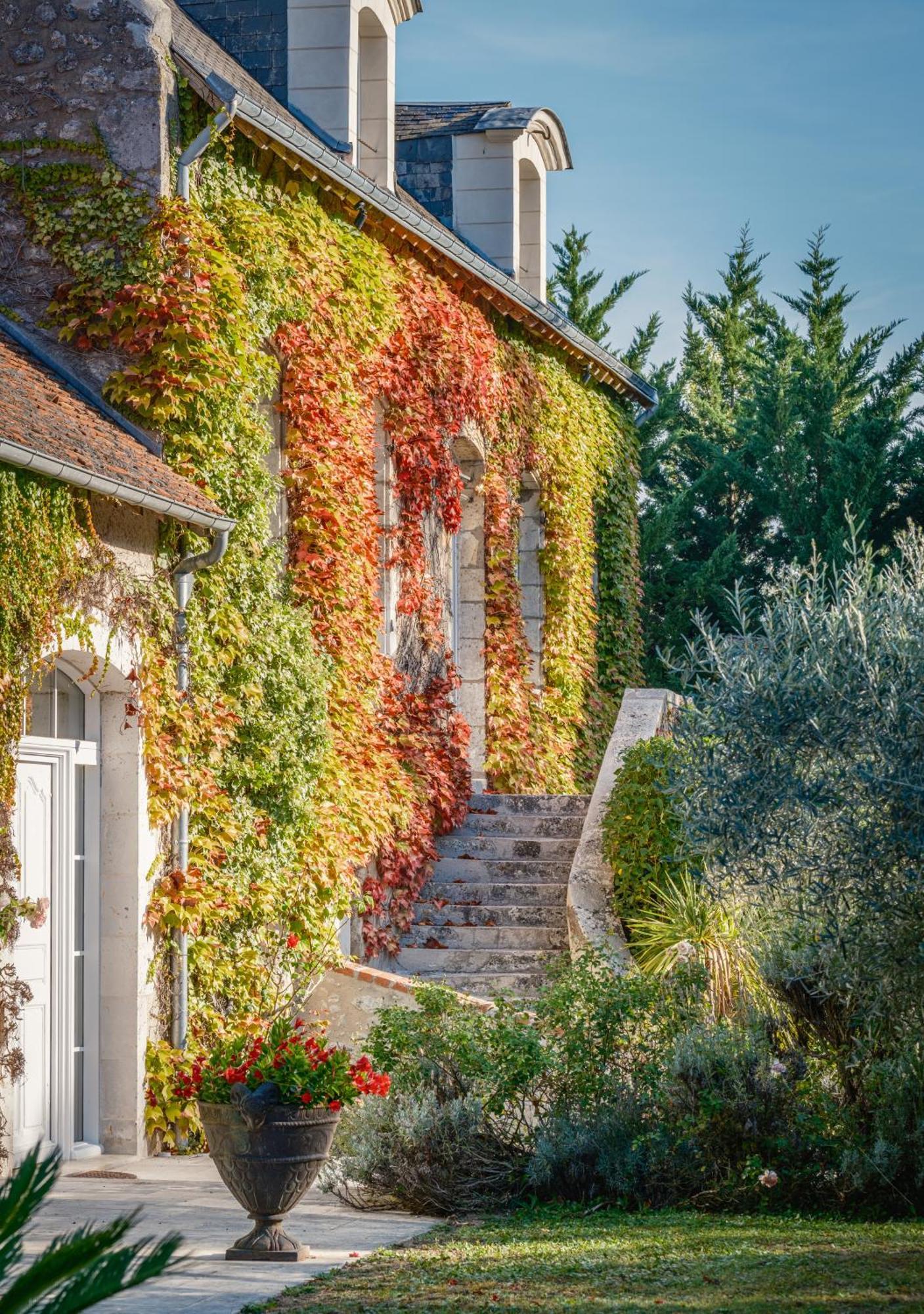 مبيت وإفطار Feings  Domaine De La Blonnerie المظهر الخارجي الصورة