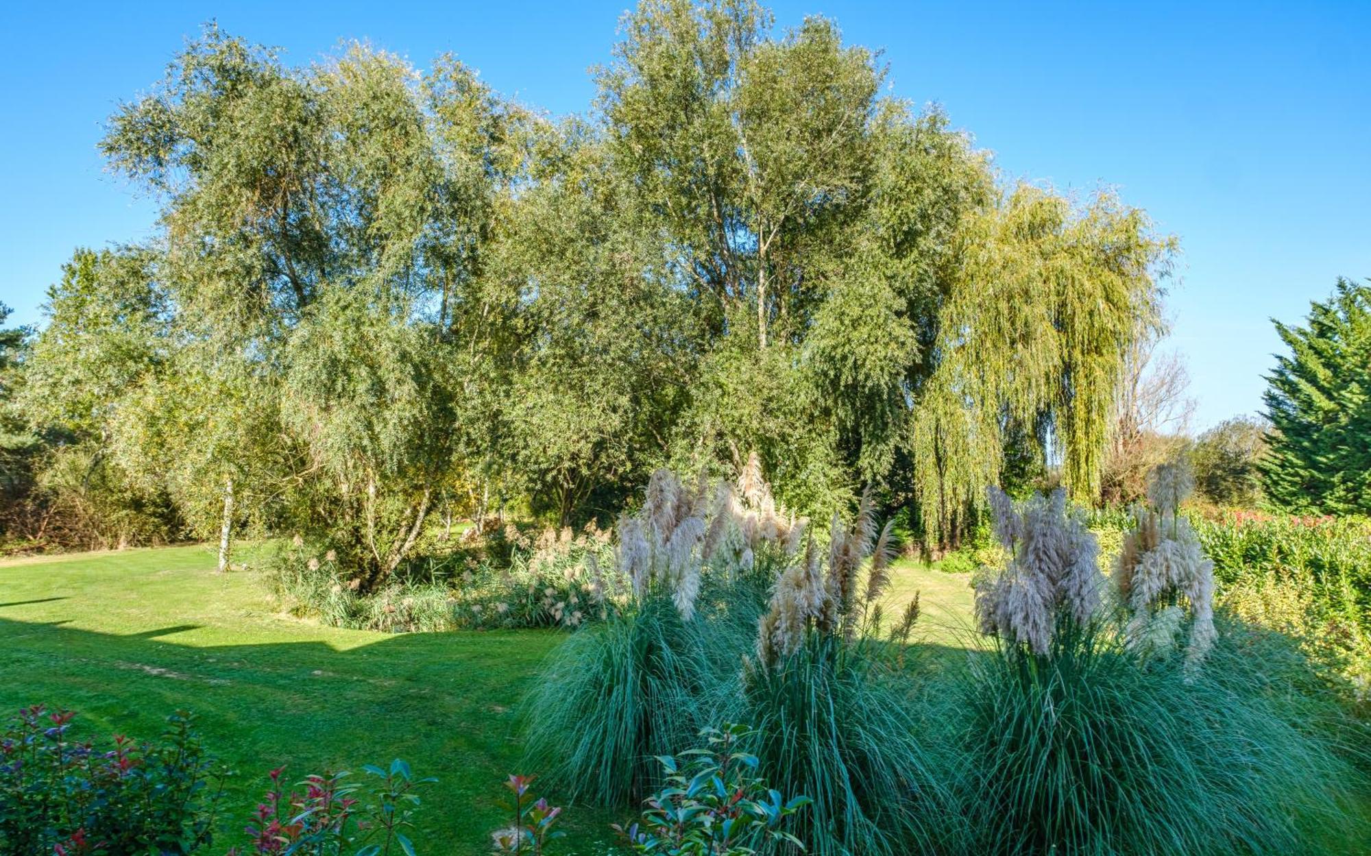 مبيت وإفطار Feings  Domaine De La Blonnerie المظهر الخارجي الصورة